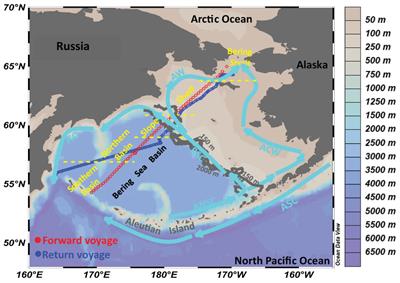 Rapid changes in the surface carbonate system under complex mixing schemes across the Bering Sea: a comparative study of a forward voyage in July and a return voyage in September 2018